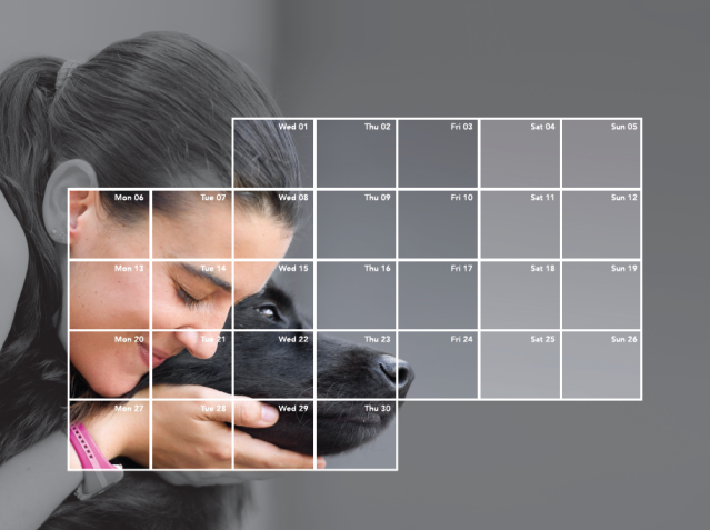 Canine Hypoadrenocorticism